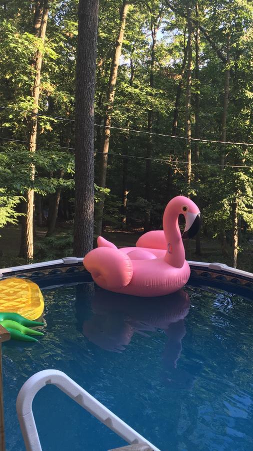 Pocono Cabin With Private Pool At Shawnee Mtn East Stroudsburg Εξωτερικό φωτογραφία