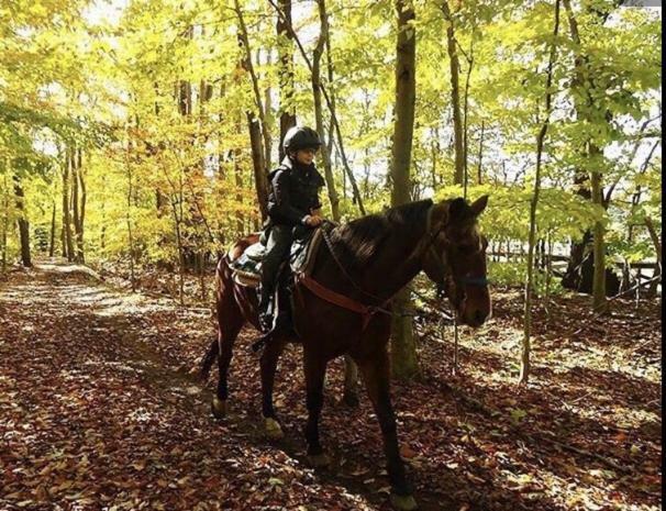 Pocono Cabin With Private Pool At Shawnee Mtn East Stroudsburg Εξωτερικό φωτογραφία